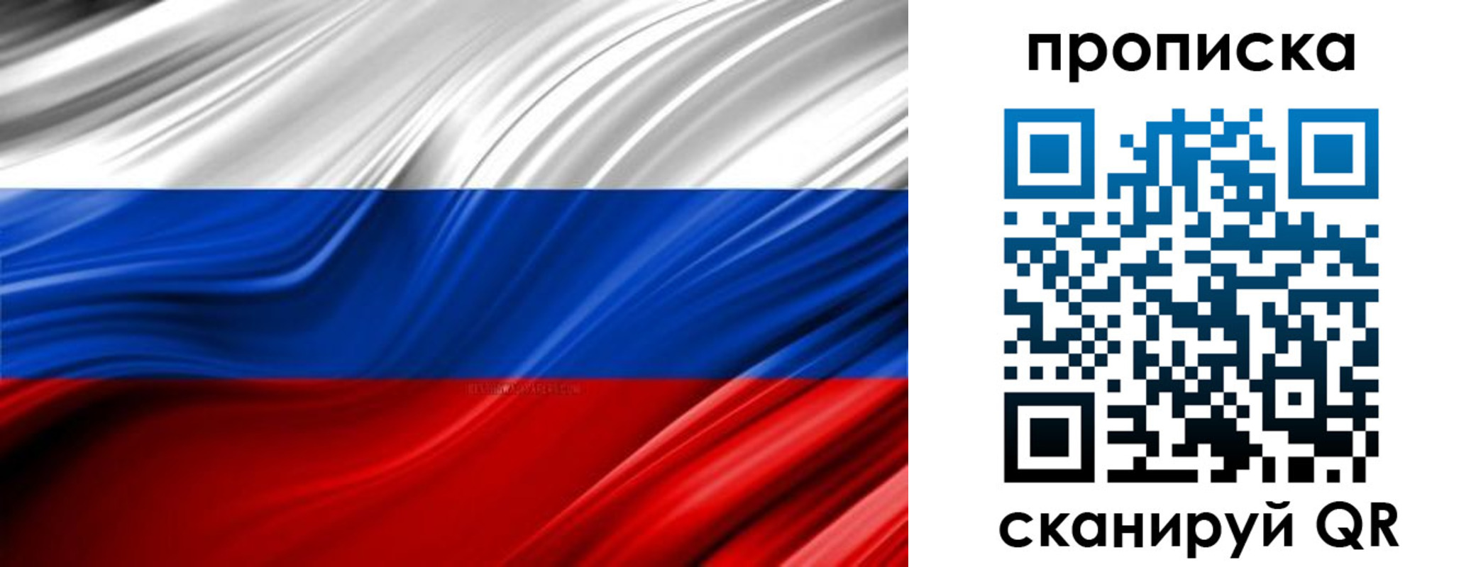 прописка для школы в Нелидово